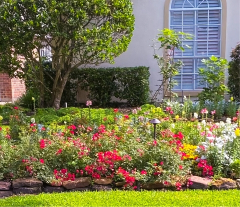 LANDSCAPE DESIGN