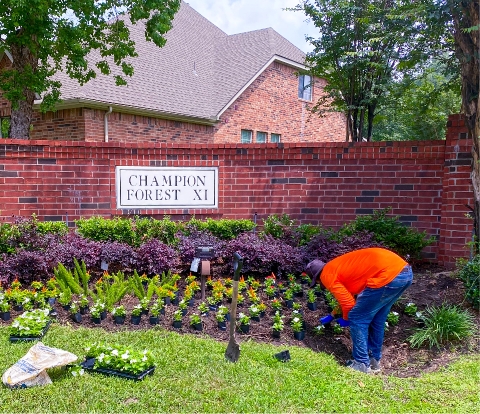 LANDSCAPING