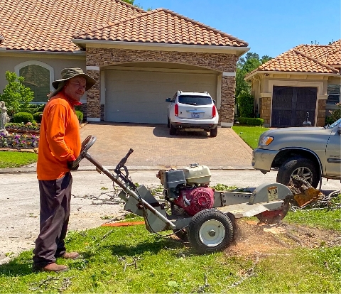 STUMP GRINDING